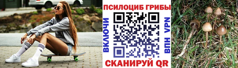 Псилоцибиновые грибы ЛСД Купить где Вилючинск
